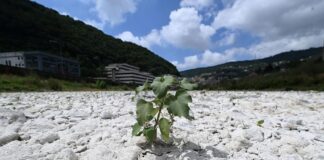 Nel 2100 in Italia 6 mesi di caldo torrido, a Milano temperature come in Texas Cambiamenti climatici