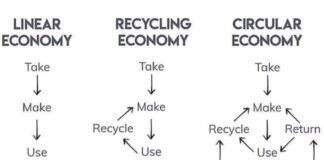 Economia lineare, riciclo e circolarità, tutto in uno schema! Economia circolare