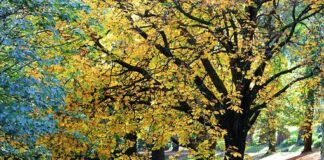 Età e mercato del lavoro: una riflessione personale età e mercato del lavoro