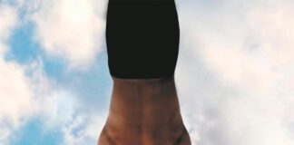 La via del guerriero di pace La via del guerriero di pace