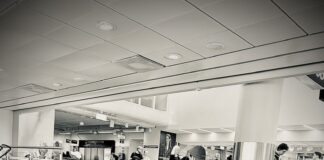 Tutto serve. Sempre. Tutto serve nella vita