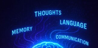 L’IA che legge la mente: il futuro della comunicazione è qui! IA che legge la mente